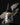 Pro Acryl: Matt Cexwish Series - Bone (22ml)