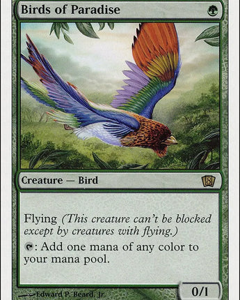 Birds of Paradise