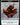 Emblem - Ob Nixilis Reignited
