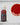 Two Thin Coats Sanguine Scarlet