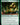Questing Beast