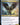 Baleful Strix