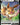 Eevee V - SWSH065