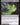 Agadeem's Awakening