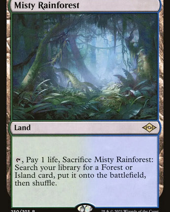 Misty Rainforest