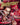 Dismember
