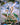 Arceus V (Alternate Full Art)