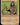 Jaheira, Friend of the Forest (Showcase)