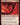Urabrask the Hidden
