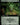 Green Slime (Extended Art)