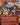 Dockside Extortionist (Borderless)
