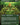 Eternal Witness (Borderless)