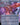 Pithing Needle (Borderless)
