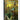 Age of Sigmar Soulbound RPG: Blackened Earth