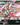 HG Cosmic Era Gundam SEED Destiny #231 Gundam Infinite Justice