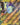 Miraidon ex - 081/198