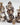 Foam Brain Inclusion Dice RPG Dice Set (7)