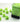 Chessex Dice: Vortex 12mm D6 (36) - Bright Green/Black