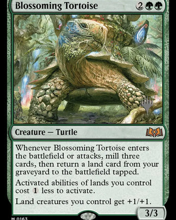 Blossoming Tortoise