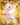 Mew ex - 205/165