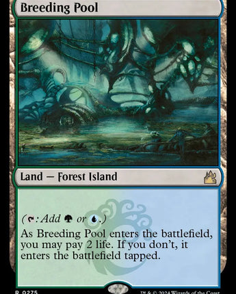 Breeding Pool