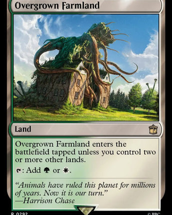Overgrown Farmland