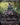 Pack Rat (Anime Borderless)