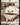 Dog // Cat Double-Sided Token