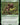 Branching Evolution