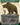 Lumra, Bellow of the Woods (Borderless) (0293)