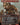 Port Razer (Borderless)