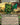 Bristlebud Farmer (Showcase)