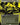 Ossification