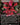 Echoes of Eternity (Borderless)