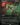 Dismember (Borderless)