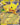 Pikachu ex (Pikachu 60)