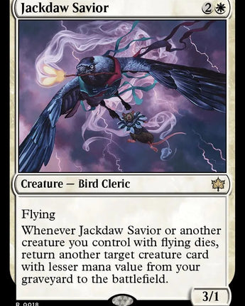 Jackdaw Savior
