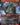 Xorn (0876) (Rainbow Foil)
