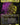 The Jolly Balloon Man (Showcase)