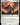 Lyra Dawnbringer (0707)