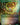 Go-Shintai of Life's Origin (Rainbow Foil)