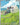 Hop's Wooloo - 170/159