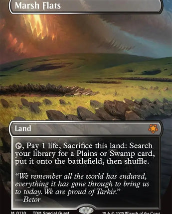 Marsh Flats (Borderless)