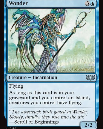 Wonder