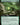 Canopy Gargantuan (Extended Art)