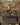 Betor, Ancestor's Voice (Borderless)