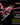 High Grade Series: Mobile Suit Gundam Seed Freedom Immortal Justice Model Kit