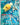 Misty's Psyduck - 193/182