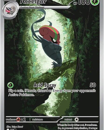 Accelgor - 094/086