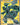 Zekrom ex - 158/086